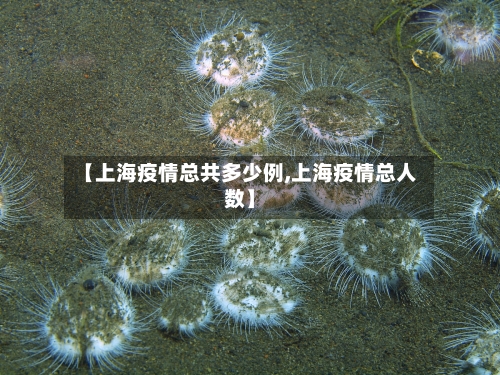 【上海疫情总共多少例,上海疫情总人数】